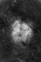IC1396 First Light